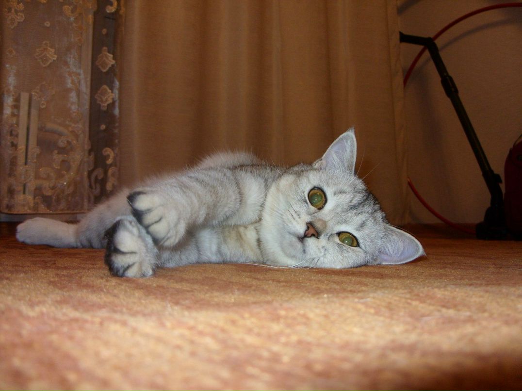 Екатерина Чеботаева | Кирово-Чепецк