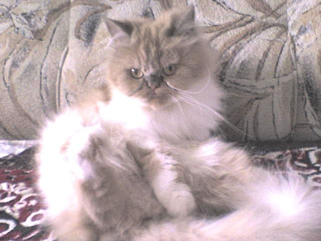 Викуля Мазуро | Старая Русса