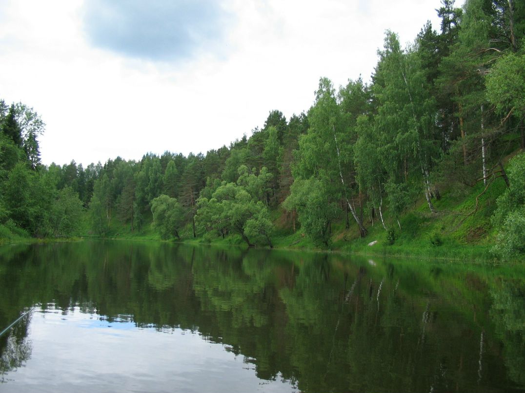 Сергей Кондратьев | Санкт-Петербург