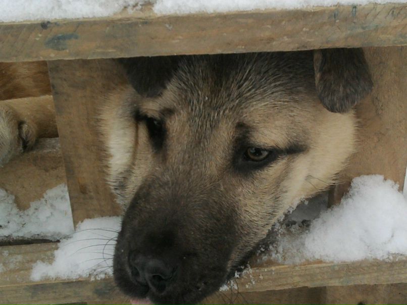 Марсель Бакиров | Казань