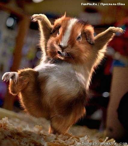 Юленька Шинкаренко КрасотуЛенька:))) | Санкт-Петербург