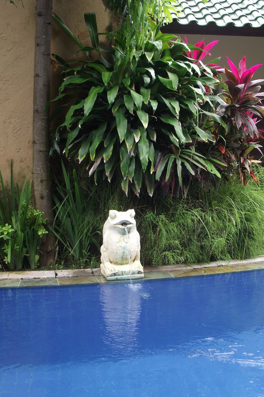 Мария Тарковская Сергеевна | Новосибирск