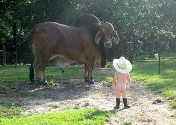 Таня Лемиль | Санкт-Петербург