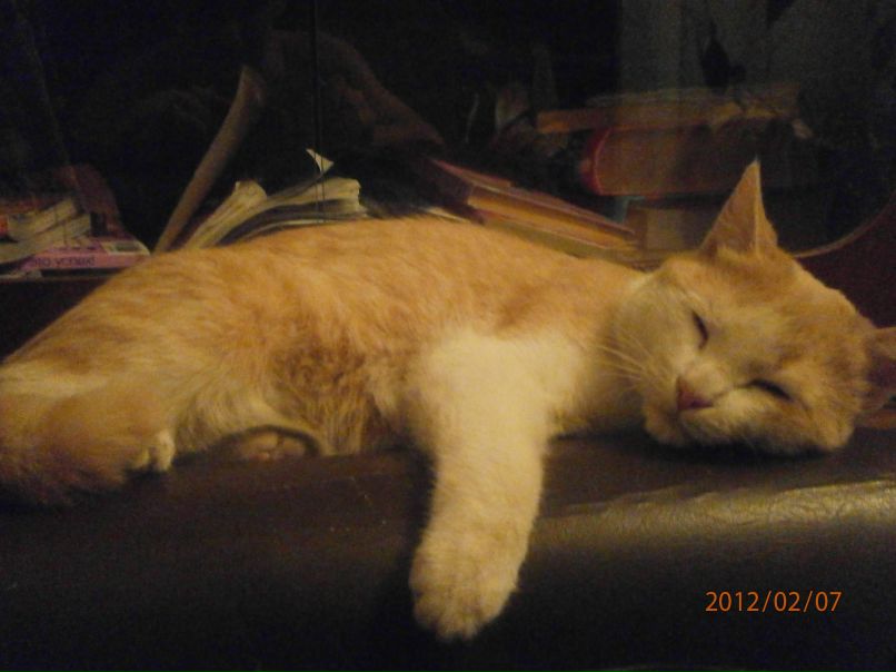 Константин Силкин | Новокуйбышевск