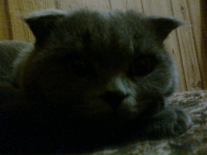 Дмитро Гапонов | 