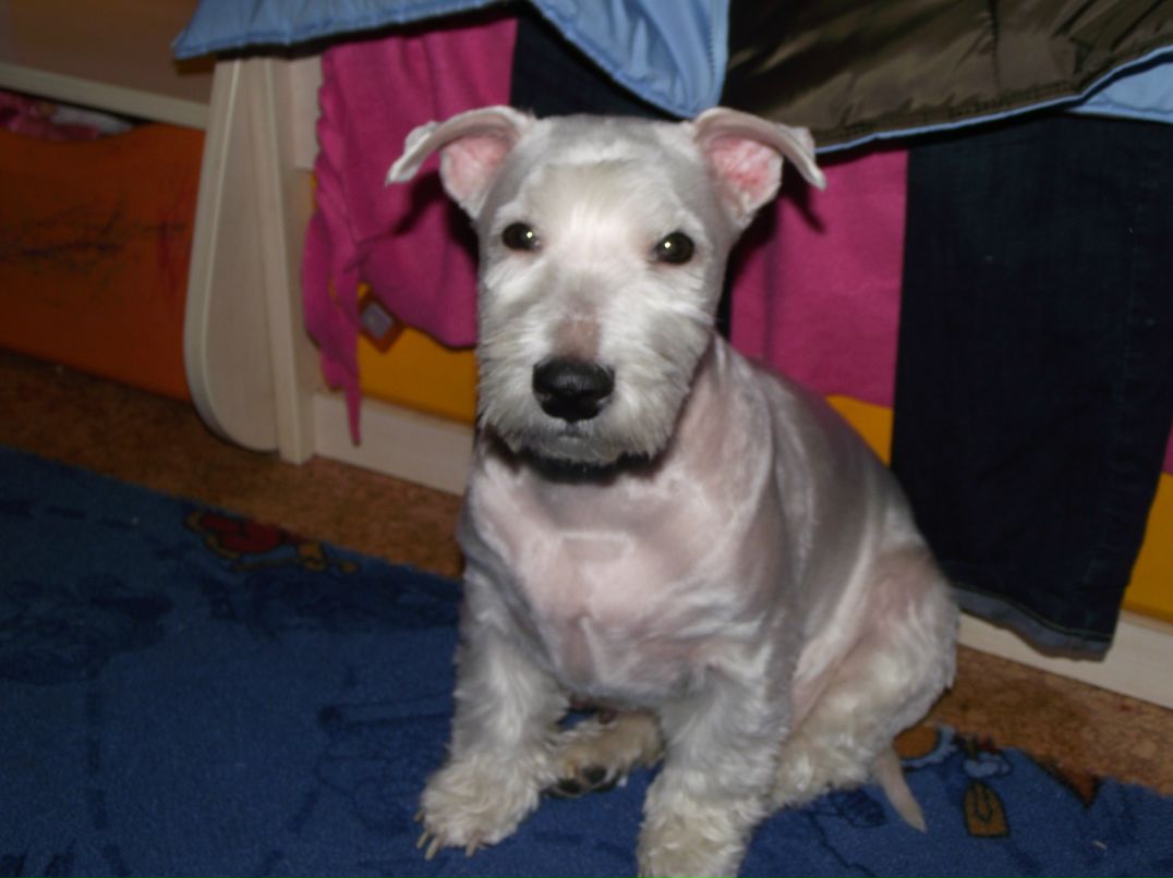 Алексей Штыка | Киев