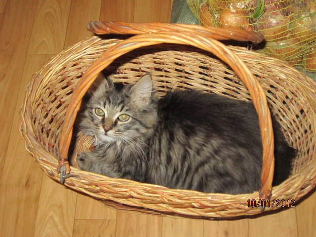 Александр Селиверстов | Калуга