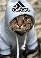 Константин Лиховид | Киев