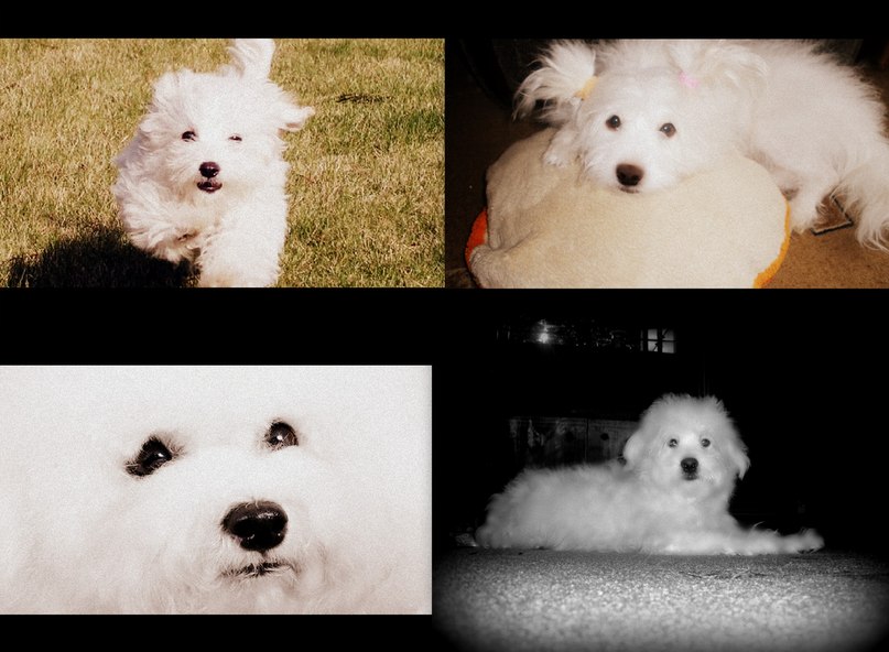 Кристина Меняйло | Тула