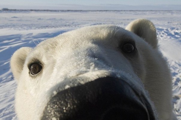 Саня Медведев | Санкт-Петербург