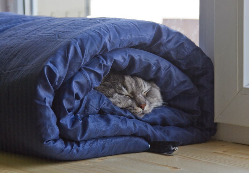 Юлькин Скобеева | Ульяновск