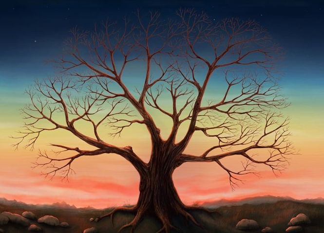 Лиля Ок | Винница