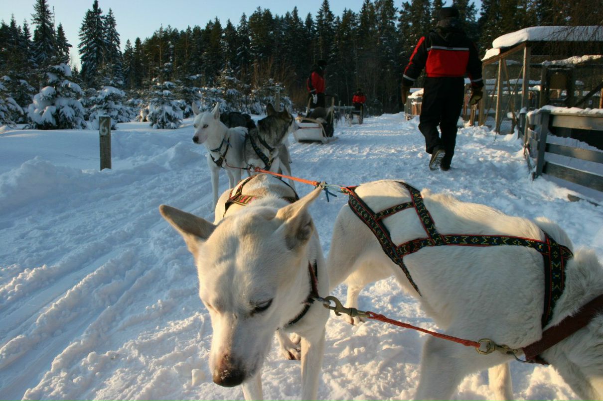 Екатерина Филимонова | Москва
