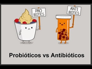PROBITICOS VS ANTIBITICOS