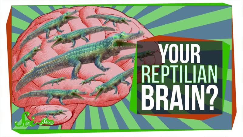 No, You Dont Have a Reptilian