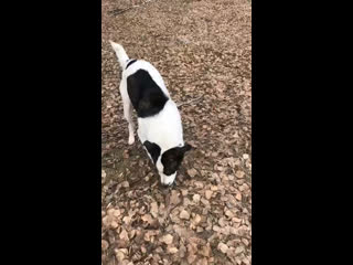 Видео от Юлика Щербицкого