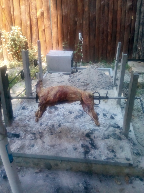 Светлана Гукова | Санкт-Петербург