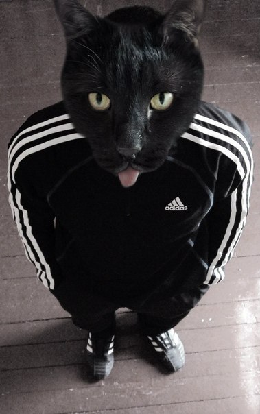 Дмитрий Кульчицкий | Нижний Новгород