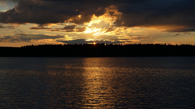 Андрей Петров | Кувшиново