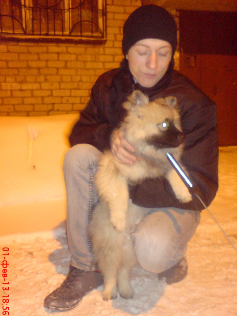 Максим Фролов | Тутаев