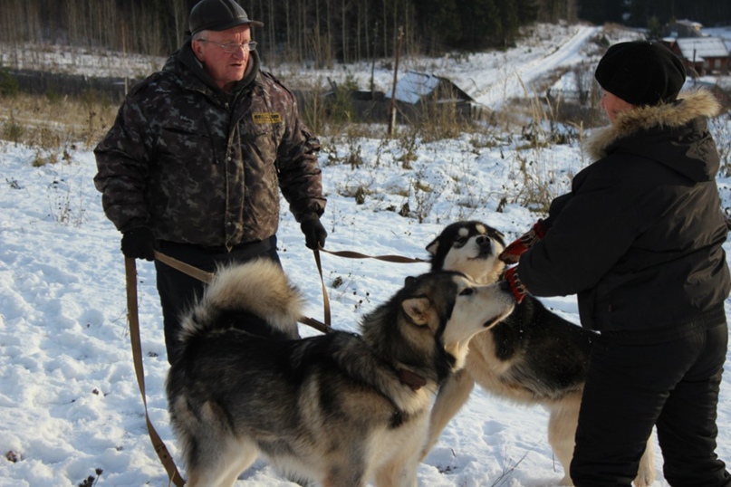 Александр Шкляев | Краснокамск