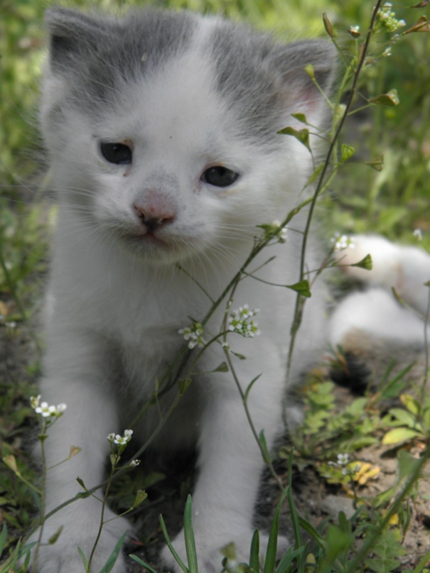 Эвелина Трофимова | Днепр (Днепропетровск)