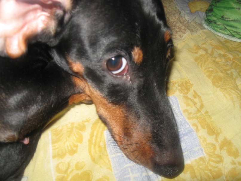 Алексей Рыбин | Екатеринбург