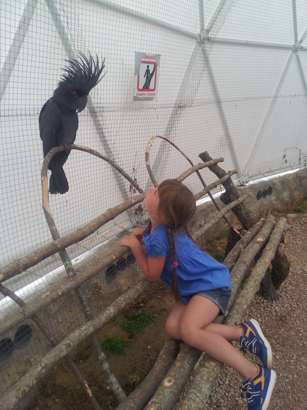 Елена Долгова | Коктебель