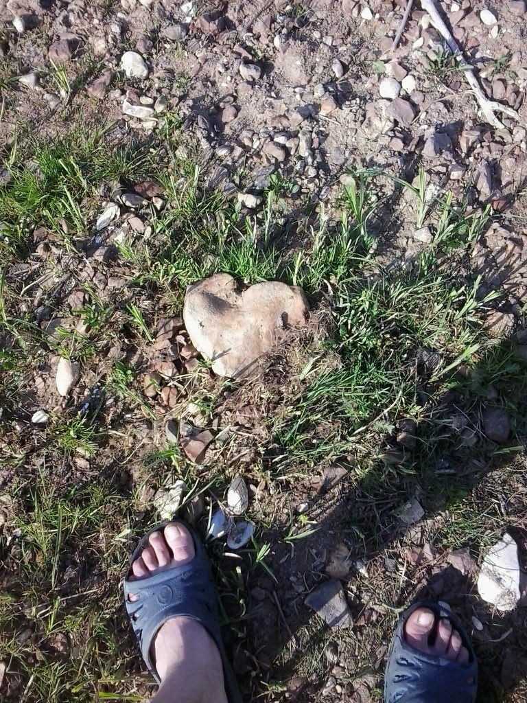 Николай Калюжный | Тверь