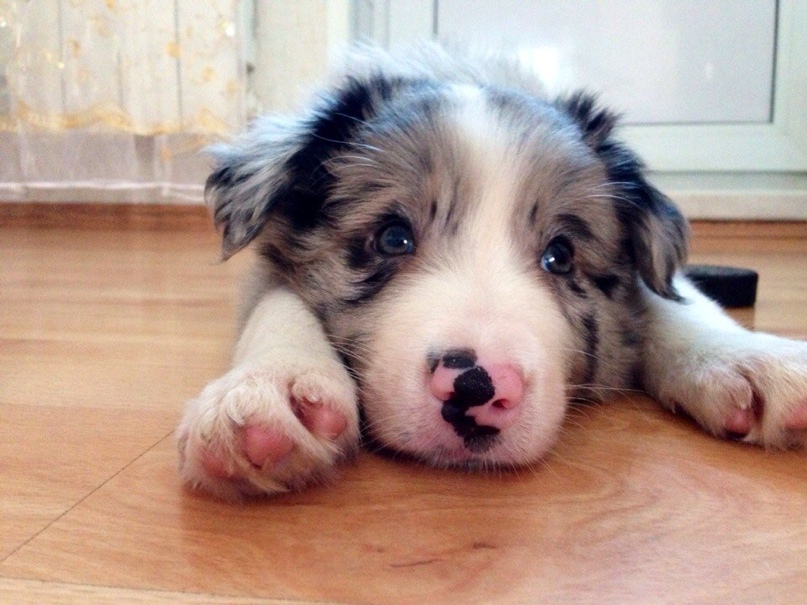 Евгения Горина | Владивосток