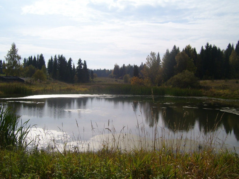 Ольга Бисерова |