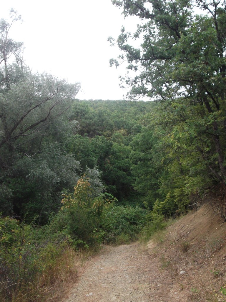 Ирина Судакова | Санкт-Петербург