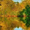 Марина Рязанцева |
