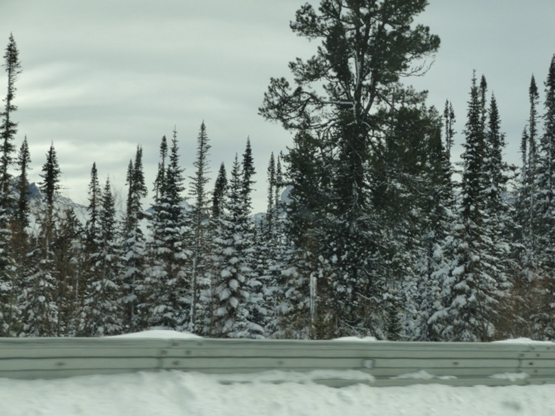 Катерина Кондратьева | Красноярск