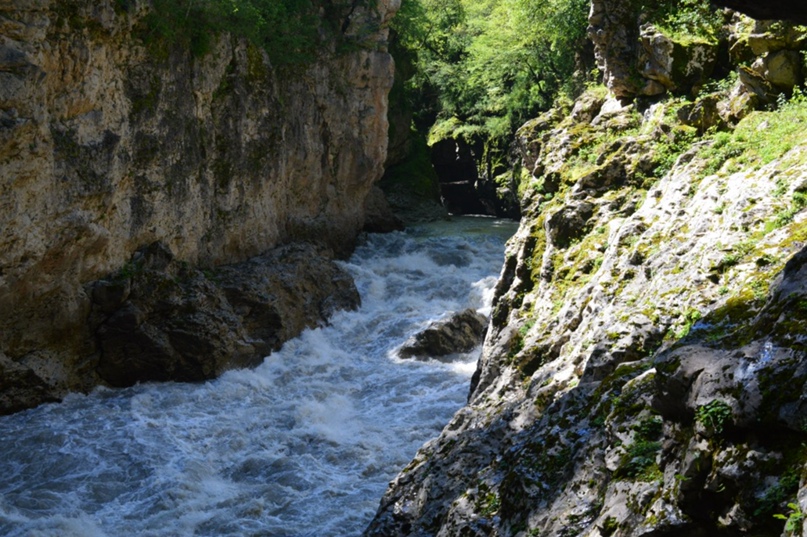 Ксения Кучерявая | Ростов-на-Дону