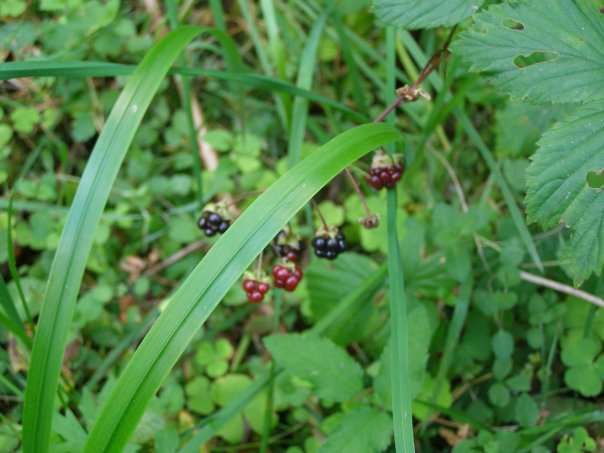 Катя Чуракова | Москва