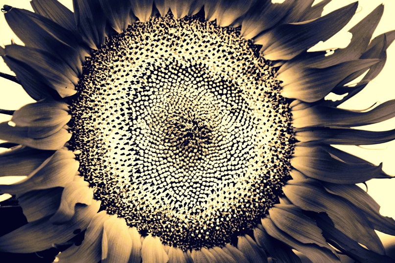 Константин Марков | Петропавловск-Камчатский