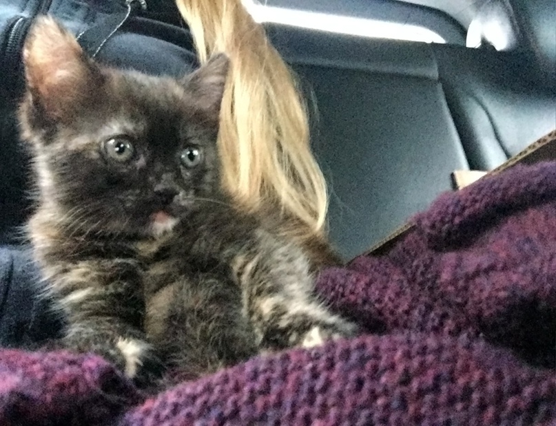 Настя Медведева |