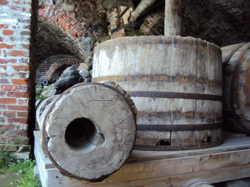 Любовь Михеева | Архангельск