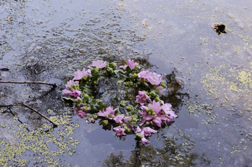 Ольга Трошина | Пенза