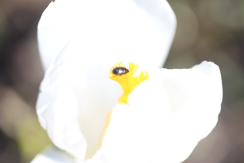 Наталья Сандалова | Тюмень