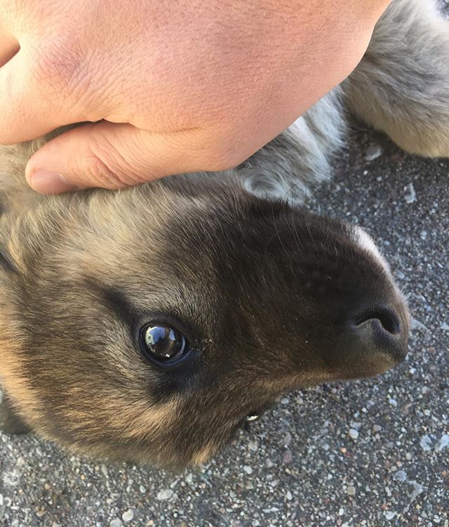 Илья Бирюков | Славск