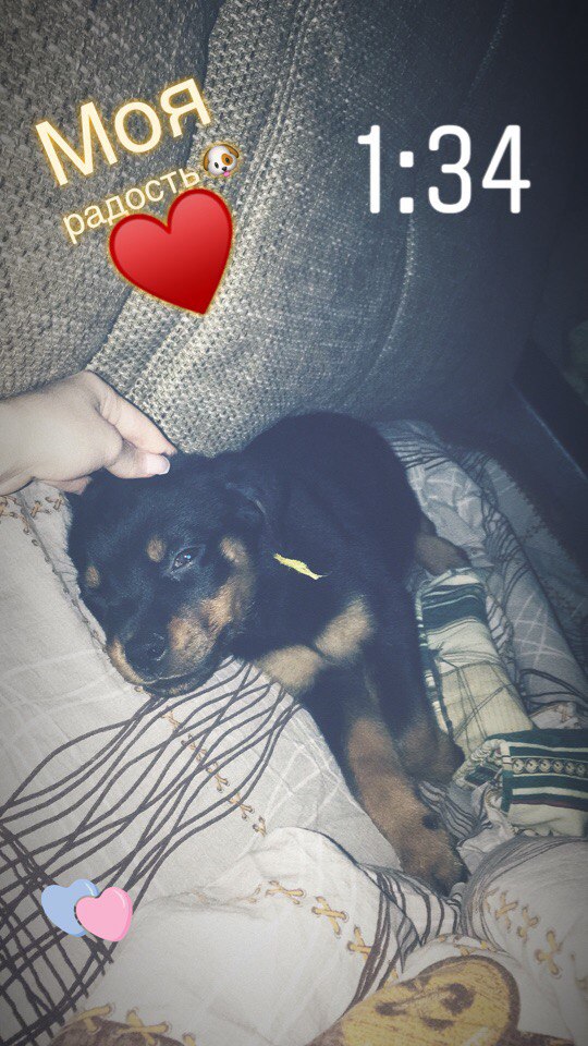 Алёна Бочарова | Москва