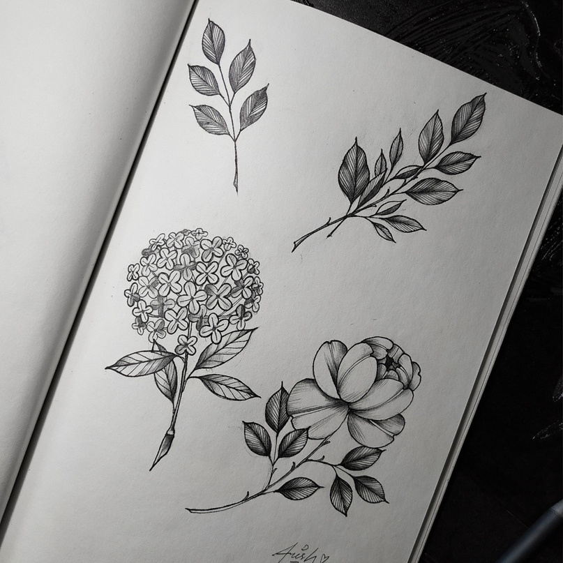 Дмитрий Желтяков | Липецк