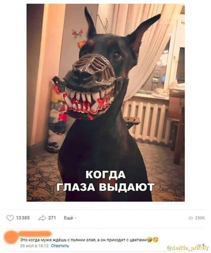 Антон Тимощенко | Железногорск