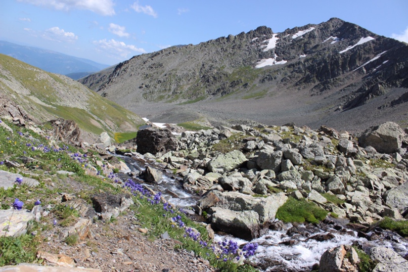 Юлия Ломакина | Томск