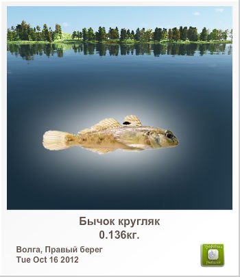 Сергей Пашин | Катериновка (Покровская община)