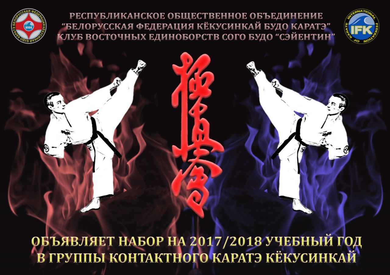 Кёкусинкай каратэ техника