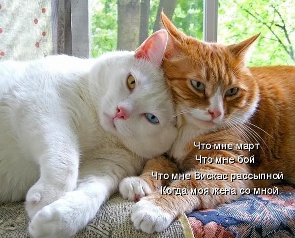 Оля Щербина | Черкассы