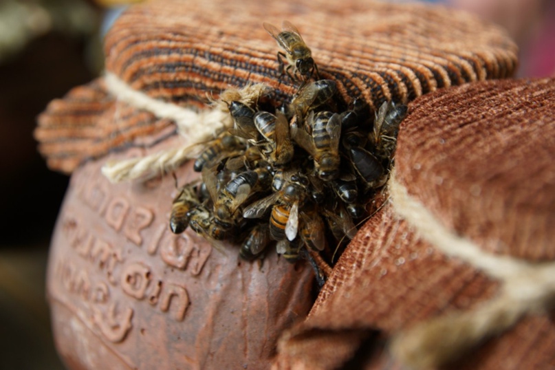 Вадим Макаров | Киров